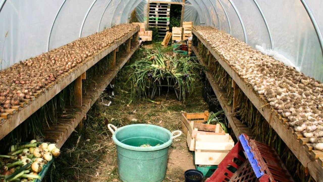 Farming