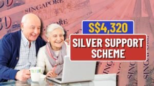 Sliver Support Scheme