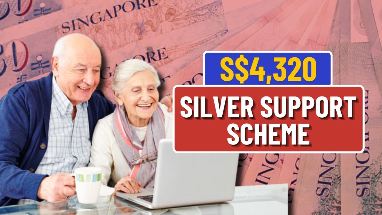 Sliver Support Scheme
