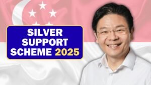 Silver Support Scheme 2025